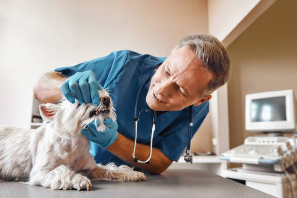 Best Weekend Emergency Dentist in Tladega, AL